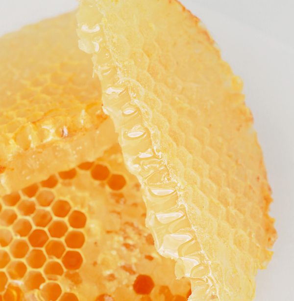 American Raw Honey Comb