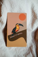 Kindred Conversations