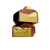 Chocolate Bites
