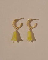 Campa Earrings