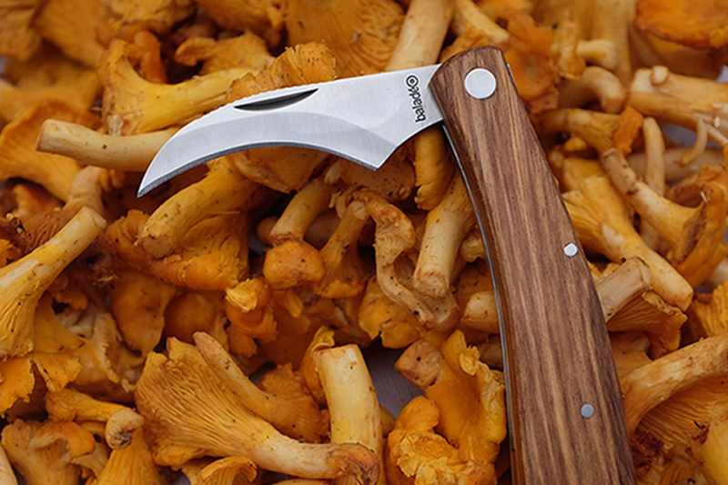 Mushroom Knife with Brush