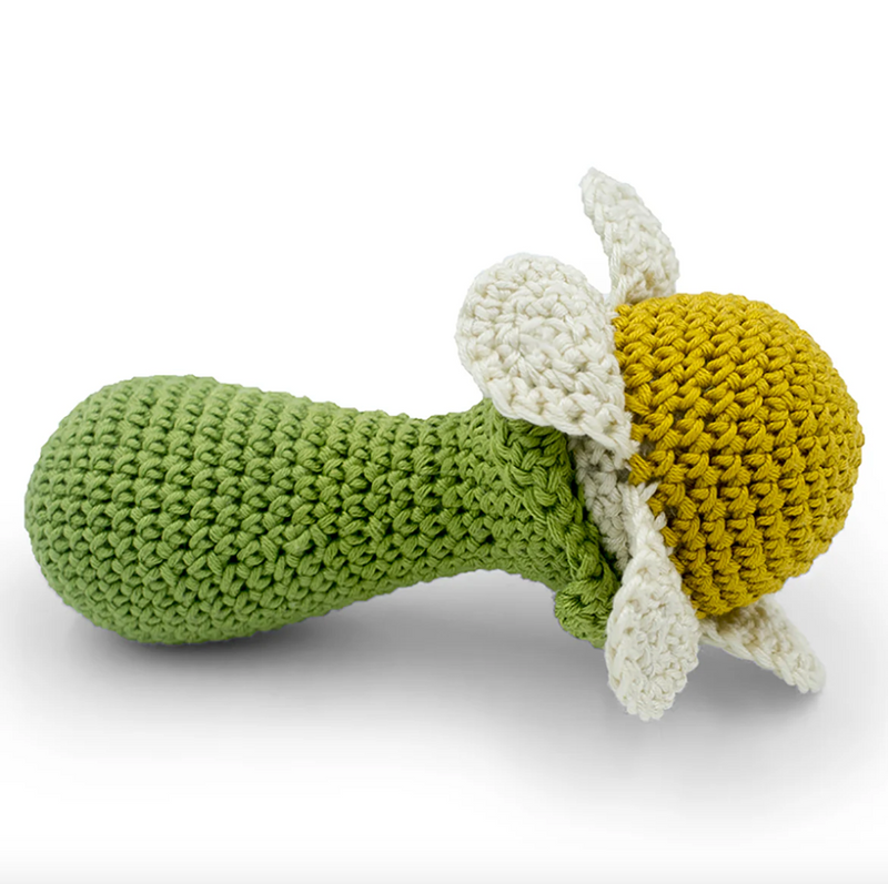 Organic Cotton Market Rattles