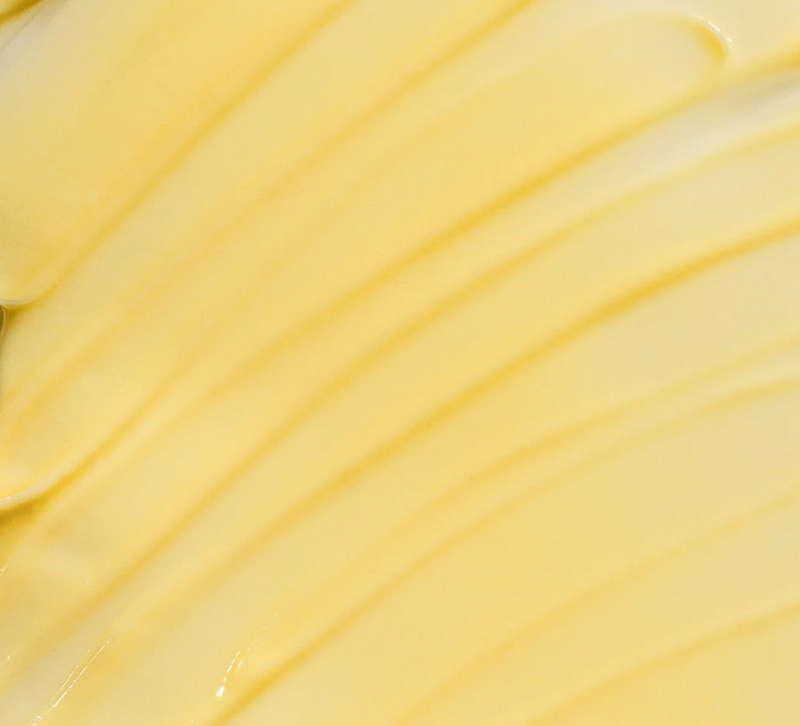 Cactus Body Cream - Dulce de Cuerpo
