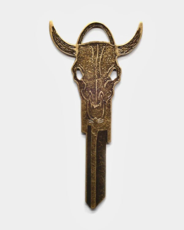 Steer Key