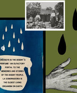 Monsoon Creosote Tallow Balm