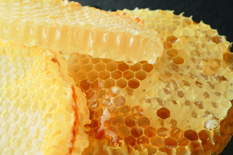 American Raw Honey Comb