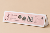 Tin Art Embossing Starter Kit