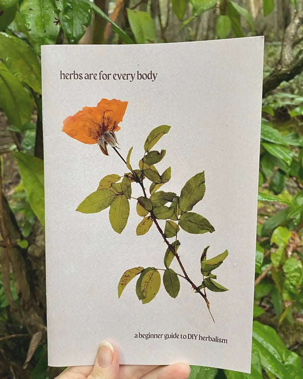 Herbs Are For Everybody Zine