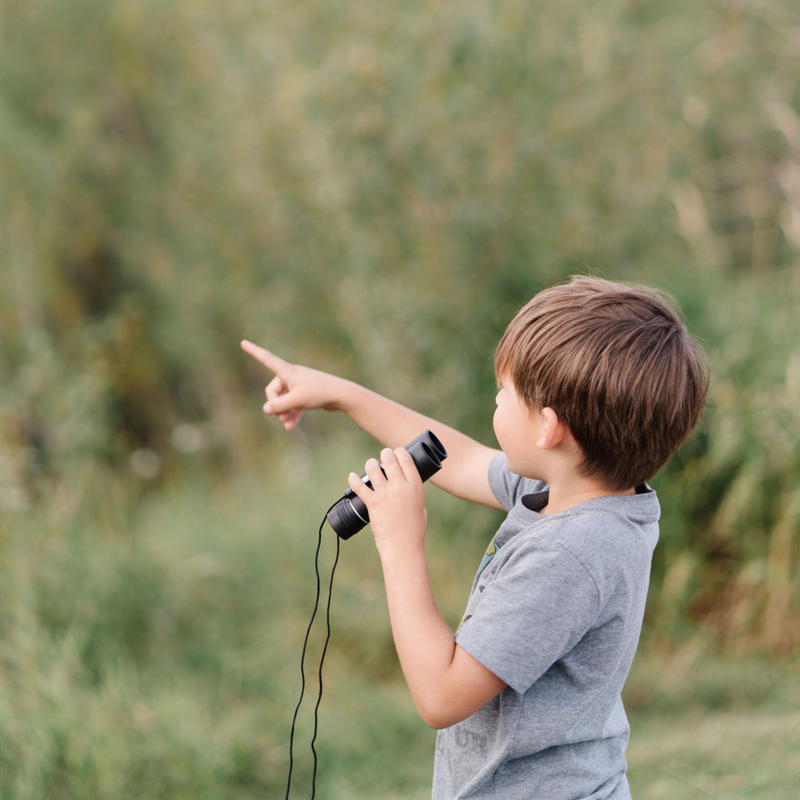 Compact Binoculars