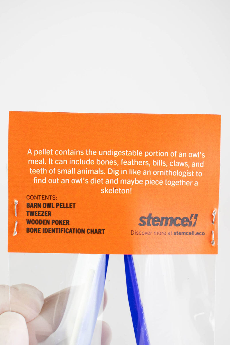 Owl Pellet Dissection Kit