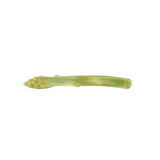 Asparagus Hair Clip