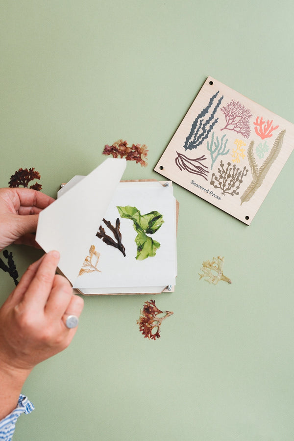 Seaweed Press Kit