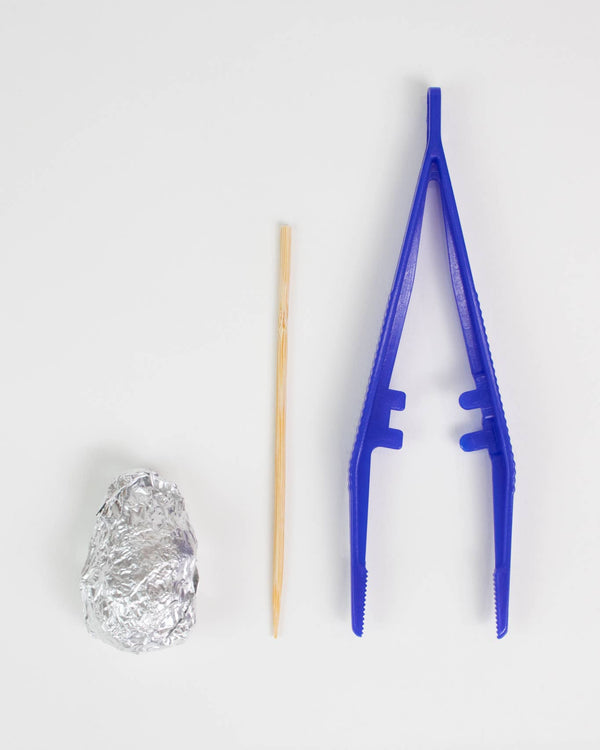 Owl Pellet Dissection Kit