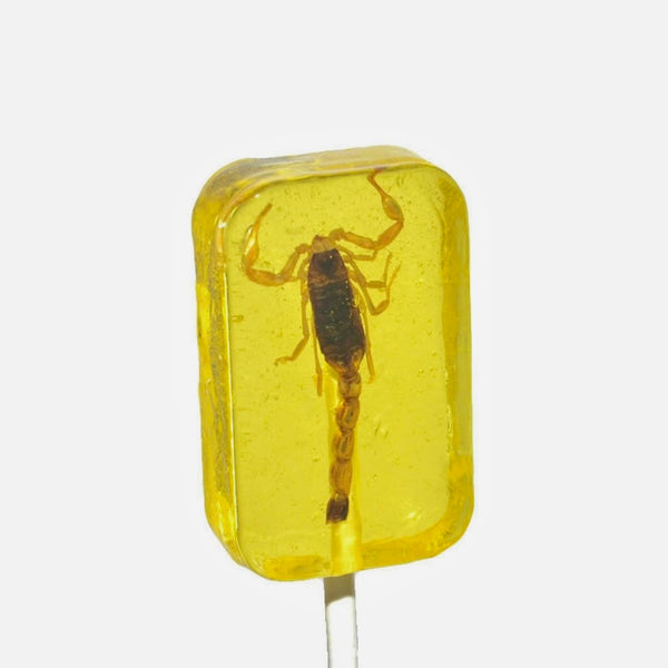 hotlix-scorpion-individual-