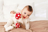 Organic Cotton Market Rattles