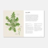The Coastal Forager