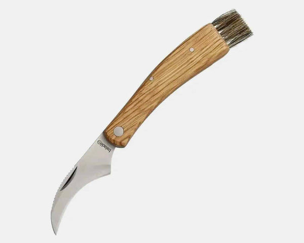 Mushroom Knife with Brush