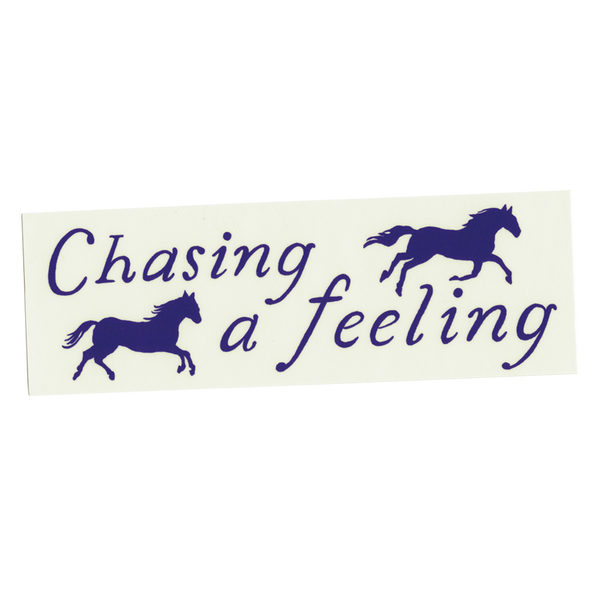 Chasing a Feeling Bumper Sticker