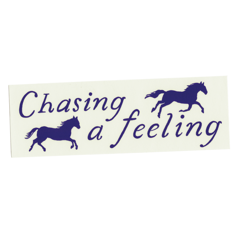 Chasing a Feeling Bumper Sticker