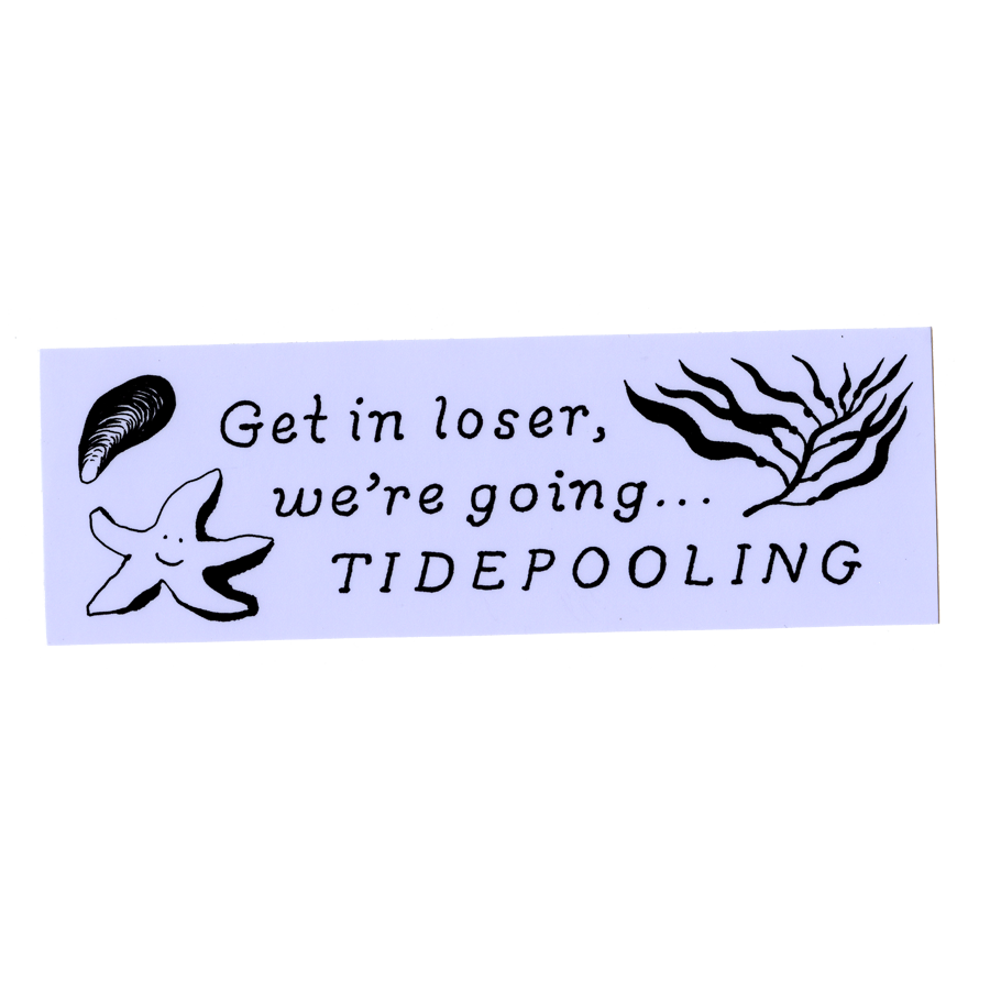 Tide Pooling Sticker – Mountainside