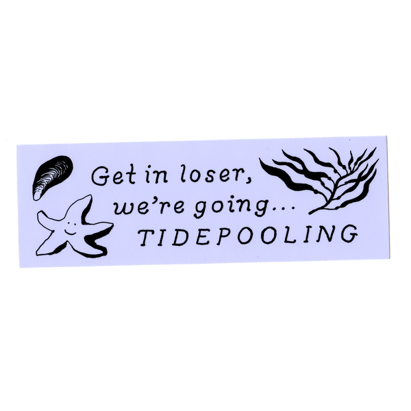 Tide Pooling Sticker