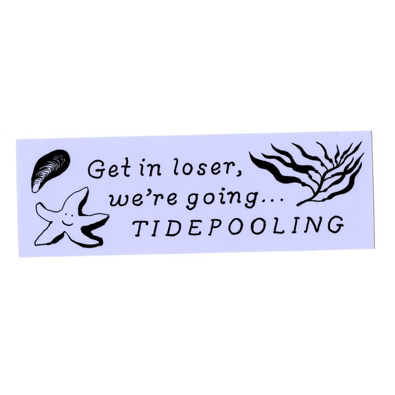Tide Pooling Sticker