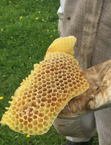 Raw Mānuka Honey