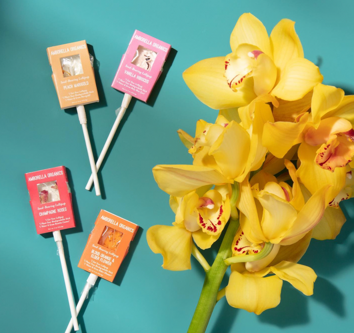 seed-bearing plants Organic Seed-Bearing Lollipops – Mountainside