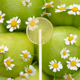 Organic Seed-Bearing Lollipops