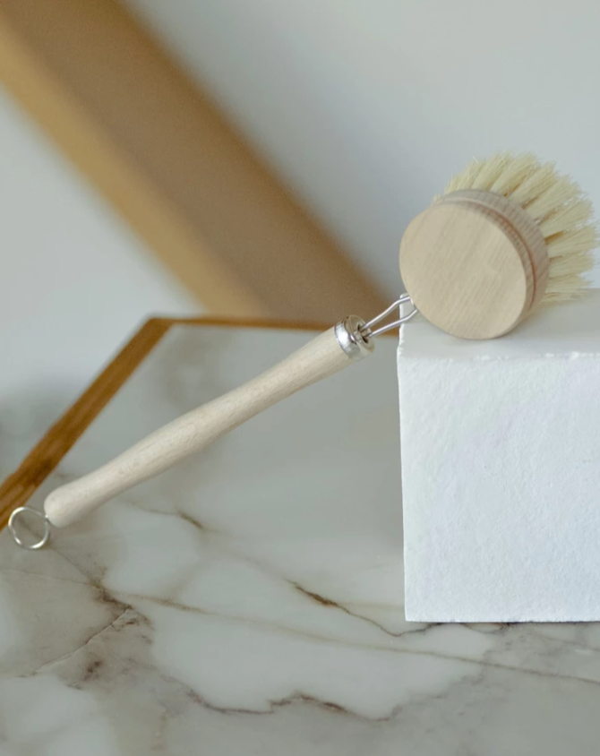 Dish Brush