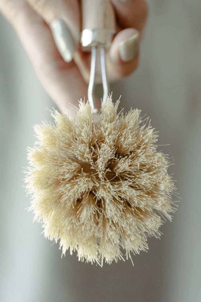 Dish Brush