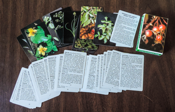 Edible and Poisonous Plants Cards