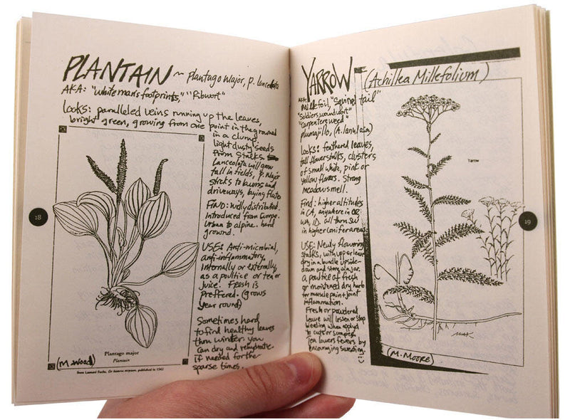 Cat's Claw Herbal Zine