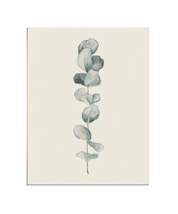Eucalyptus Print